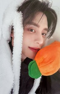 迷五 ms 特典卡 兔毯ver.