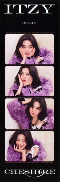 CHESHIRE 專輯卡 普版 人生四格