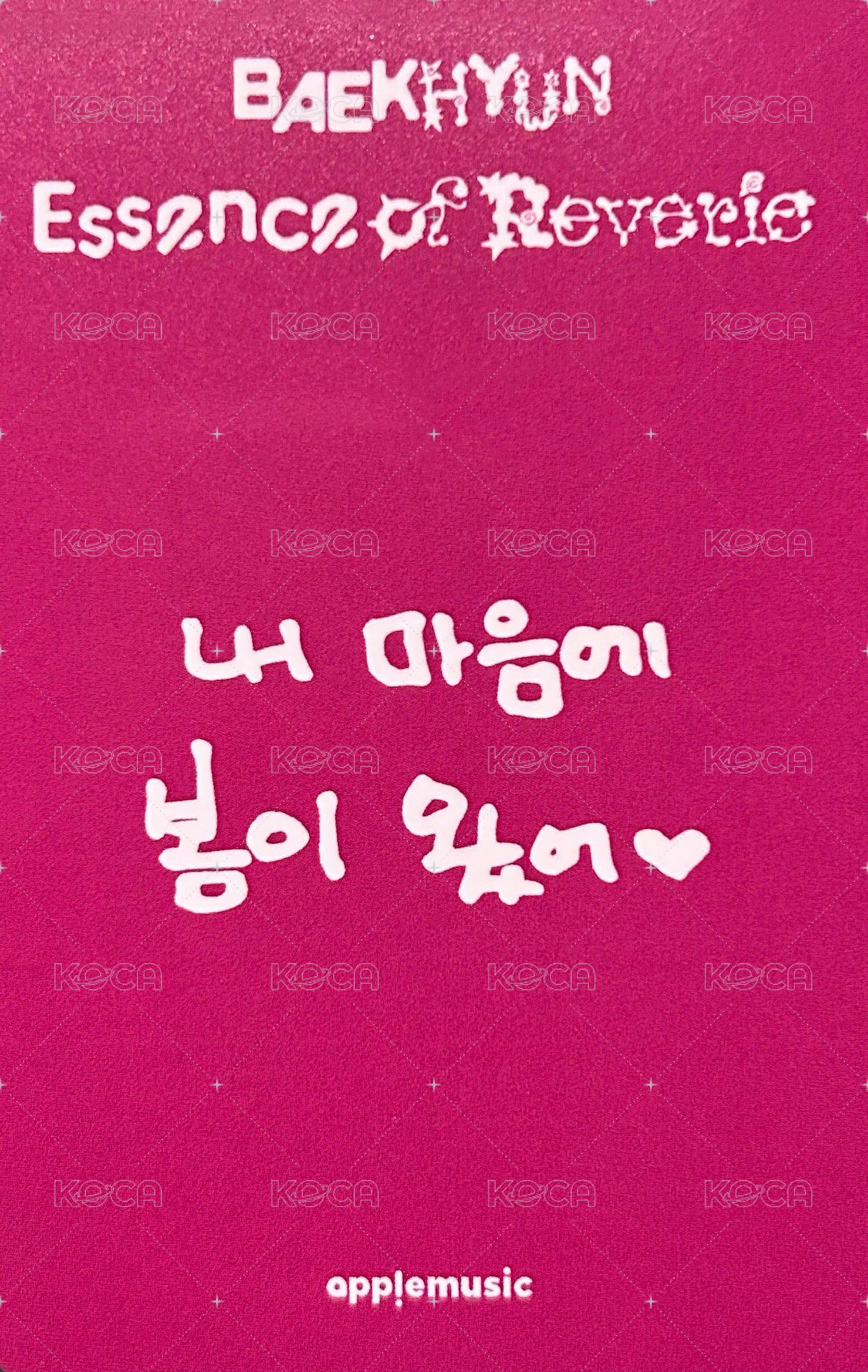 bolo5 am 2.0 幸運卡  背面