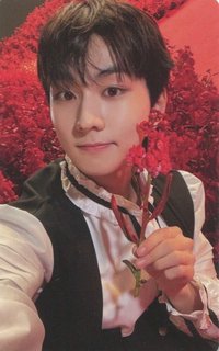 迷四 專輯卡 New版