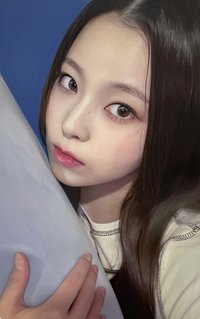 expérgo sw 簽售卡 4.0 抱枕圭