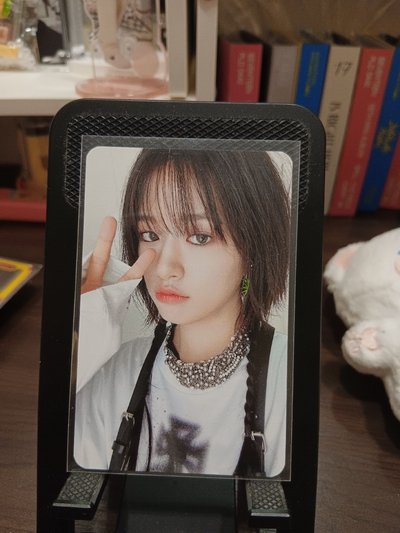 楠藝1.0特典中背