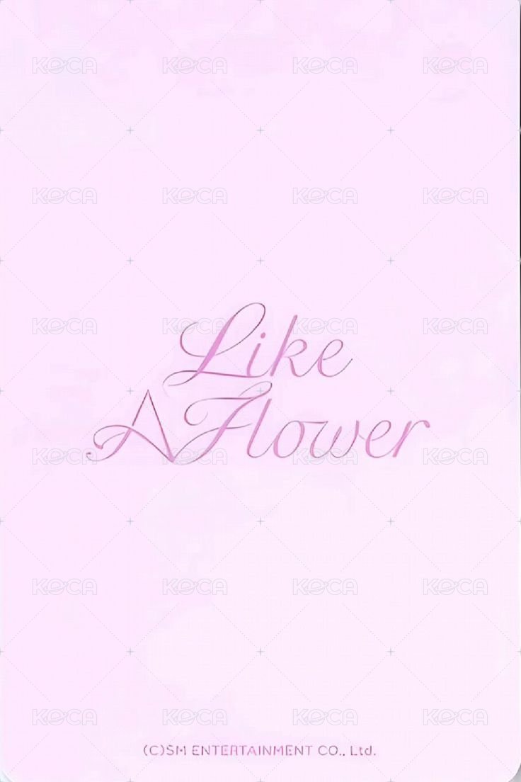 Like A Flower 隨機卡 濕髮姐 背面