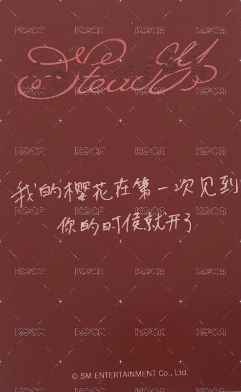 Steady kms QR 特典卡  背面