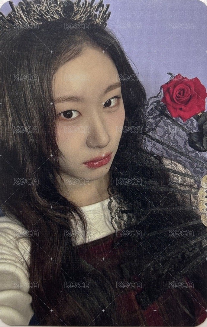 GOLD 數星星 廣州 簽售卡 黑玫瑰 正面