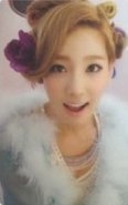 TTS Twinkle 專輯卡 