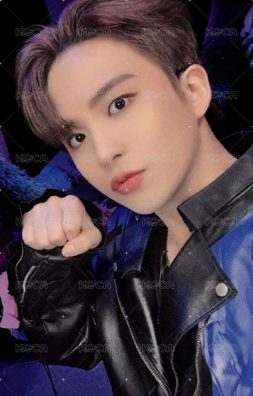 WILL MINIRECORD 特典卡  正面