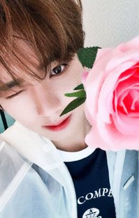 迷四 sr 3.0 特典卡 七夕玫瑰 ver.