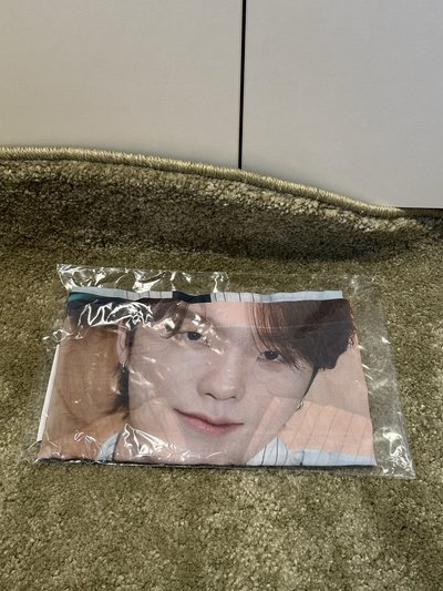 SEVENTEEN Holiday Dino 布海報