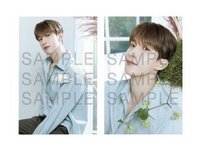 24’CAFE MG 明信片組 