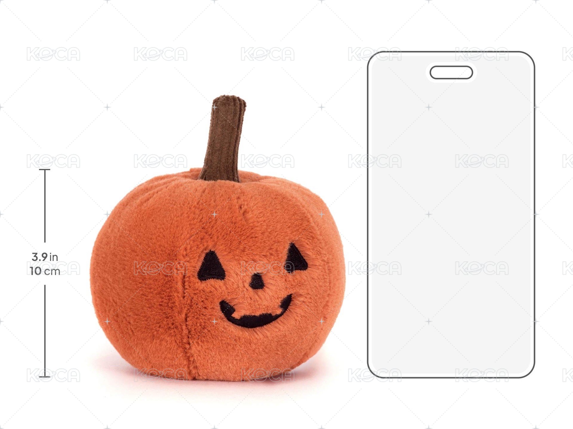 Ooky Jack O Lantern 南瓜