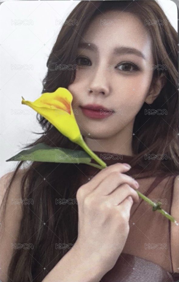 呈仕雜誌 代言卡  正面