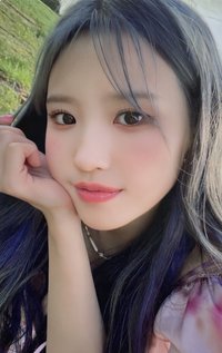 STW 專輯卡 WVS ver.