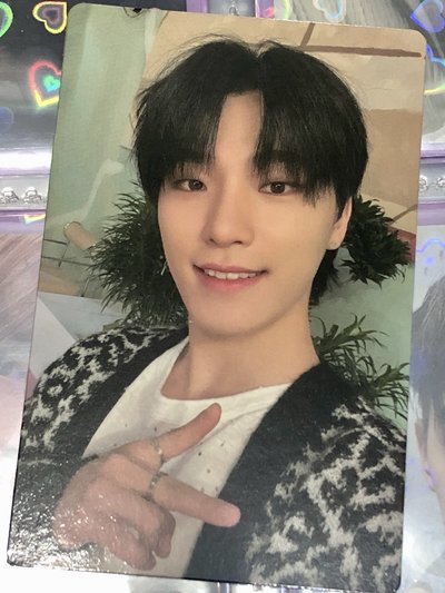 seventeen 迷你9克拉盤隨機小卡（97&忙內 line)