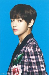 Wings Tour 隨機卡 ver.1 (3/8)