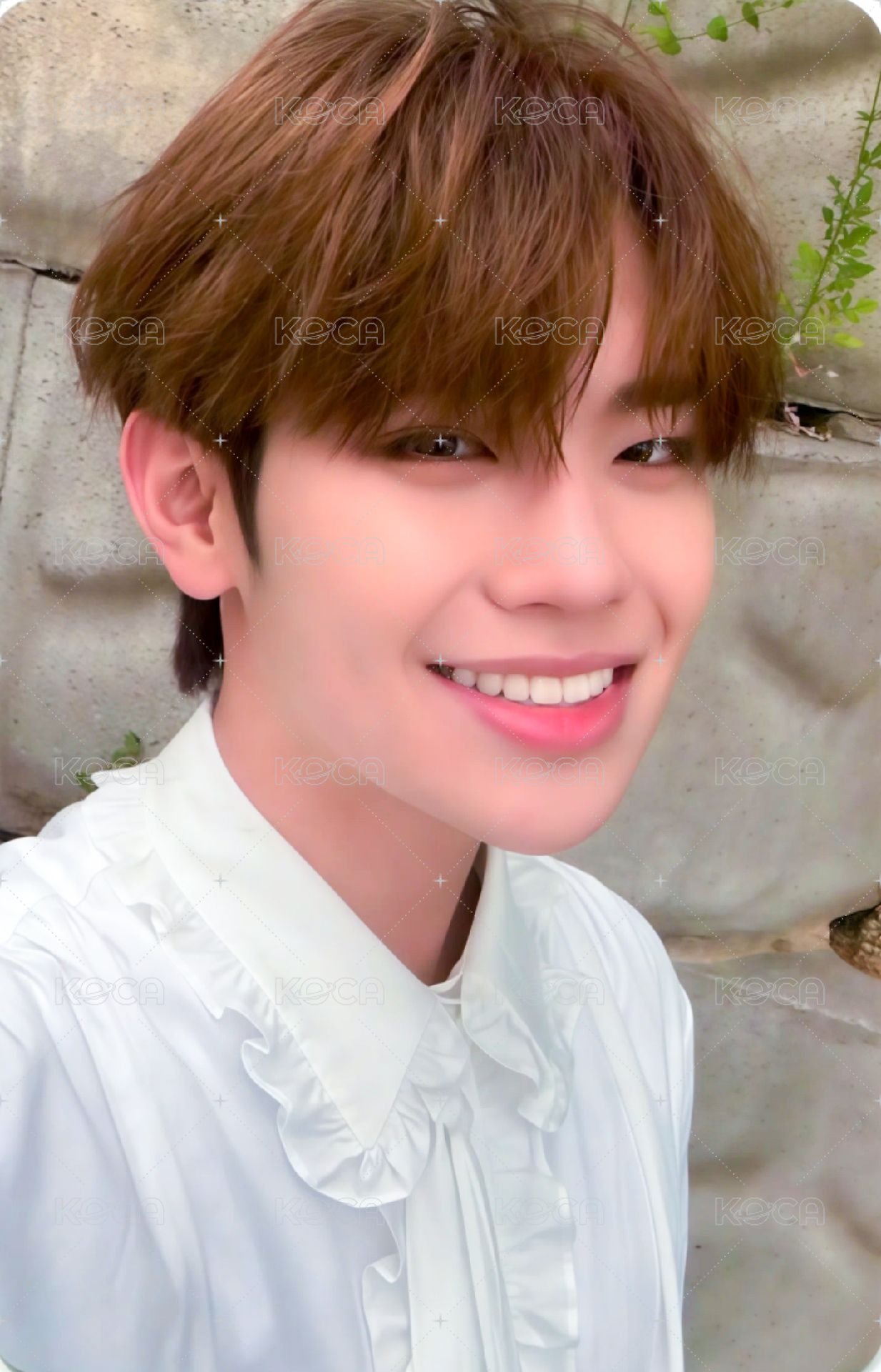 迷一 el 特典卡  正面