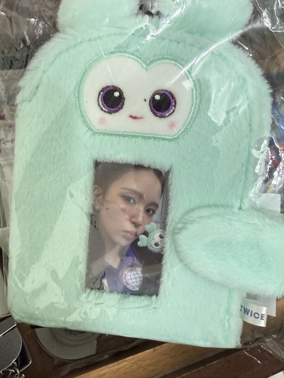 現貨 十週年 快閃 mina 毛絨卡冊