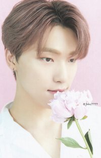 23‘CAFE in SEOUL 隨機卡 23’CAFE｜卡包