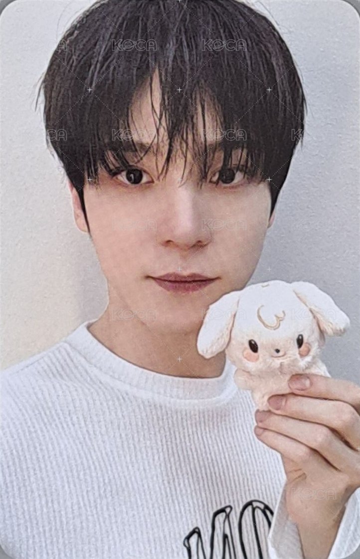 ANITEEZ IN THE CALLING 周邊卡 TINY ANITEEZ PLUSH DOLL 正面