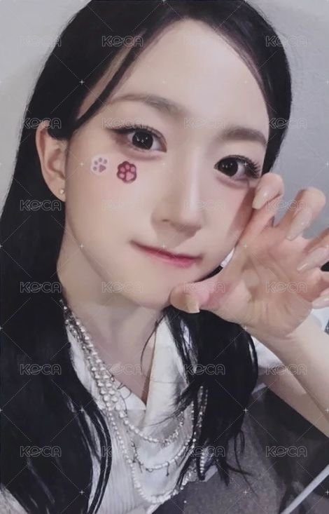 正規一 ms 線下 3.0 簽售卡 貓貼片 ver. 正面