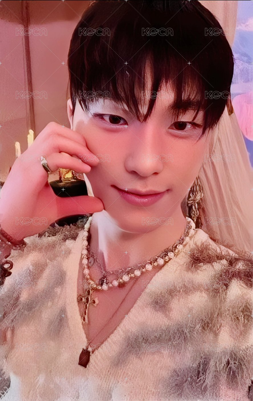 精選專 wvs 感謝祭 特典卡  正面