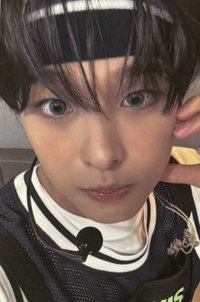 Songbird kms 7.0 v1 簽售卡 