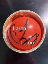 25’ FC IVE SCOUT 其他 (歡迎客服許願) IVE 25’FC SCOUT 員瑛簽名球