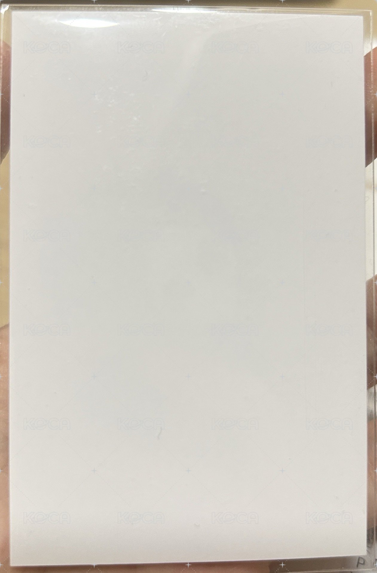 正三 yzy 特典卡 元旦復刻拍立得 背面