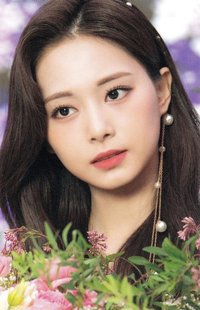 D’FESTA D社 周邊卡 