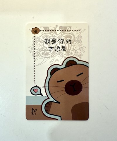 ✴️ IVE SWITCH yzy3.0簽售 卡皮巴拉 瑞