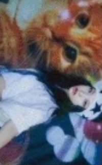 Supernatural wvs 特典卡 