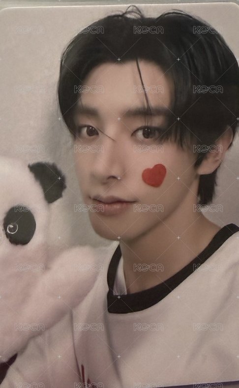 正二 yzy 特典卡 預售3.0熊貓 正面