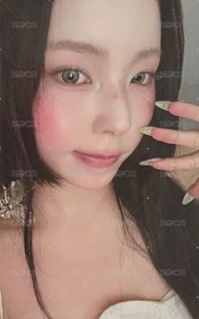 正規一 fans 預售 特典卡  正面