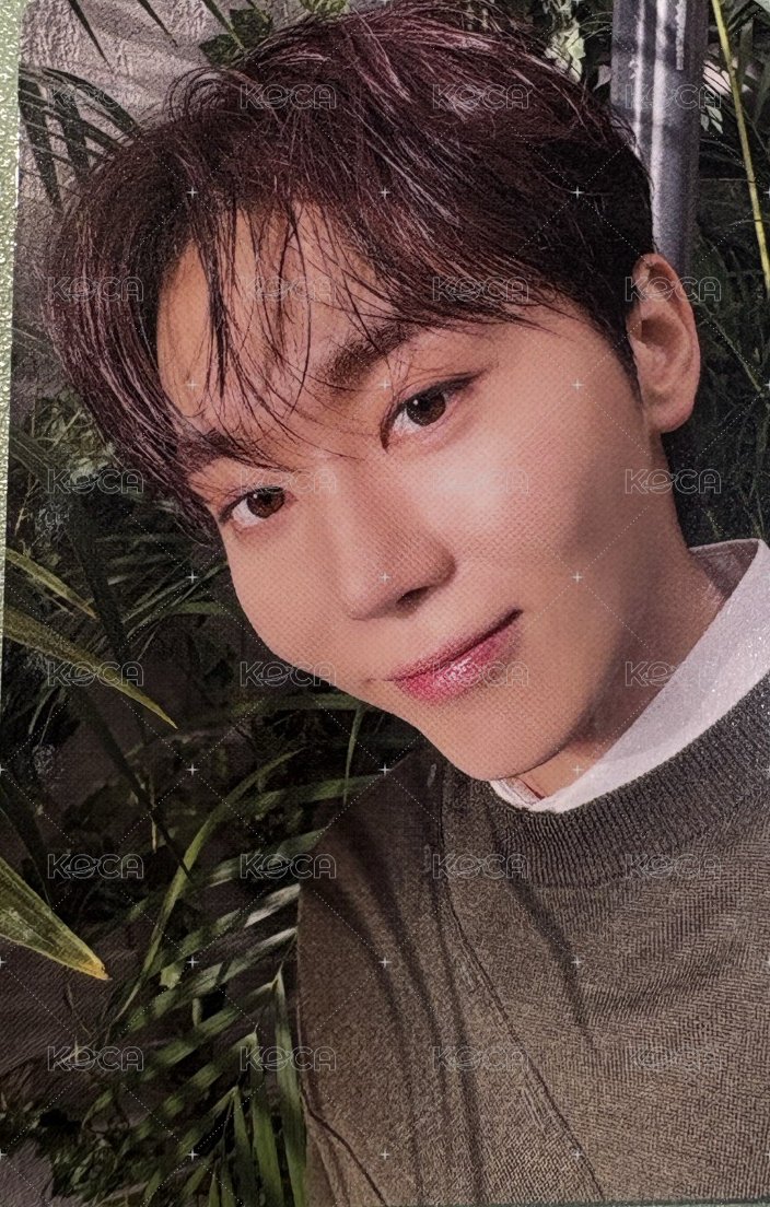 消費期限 專輯卡 LIMITED B VERSION  正面