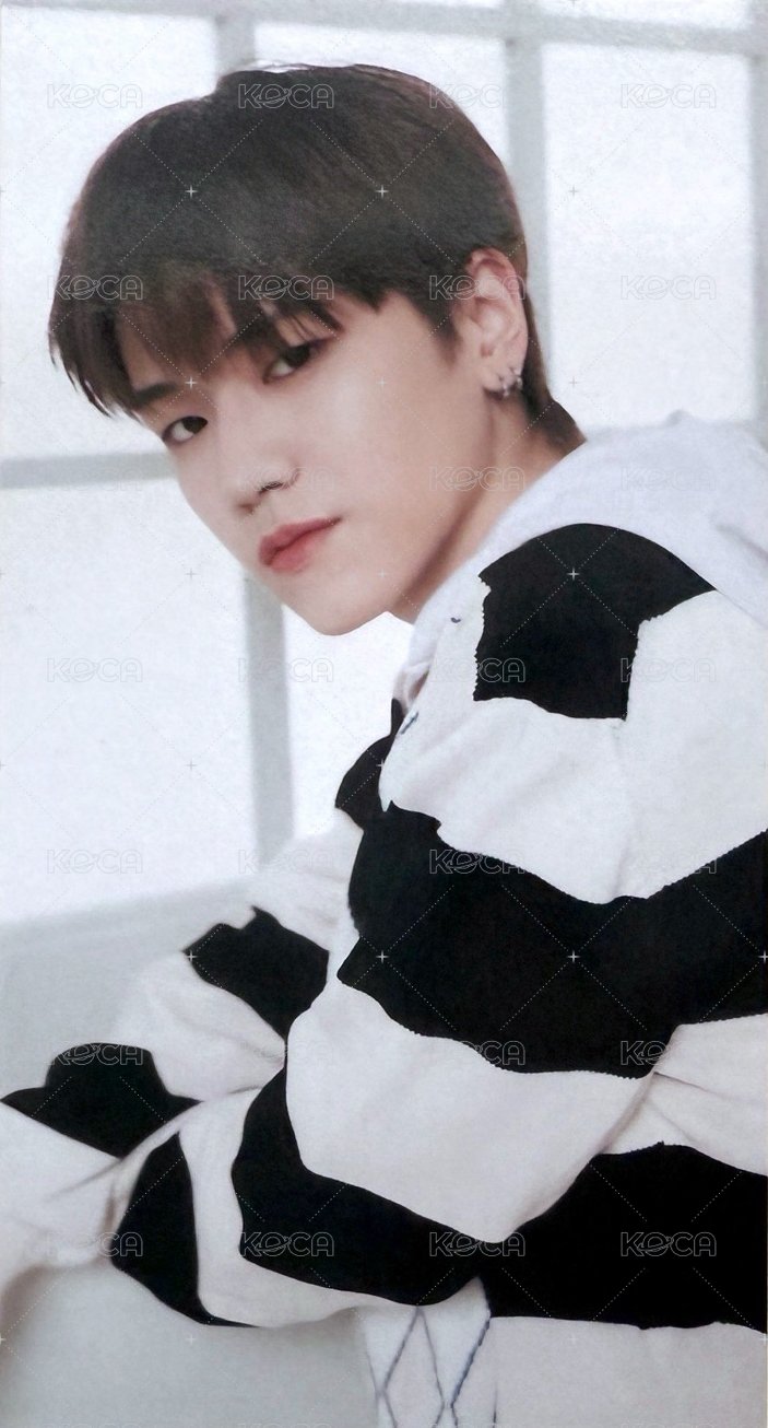 日本咖啡快閃   預約 特典卡 2 ver.B 正面