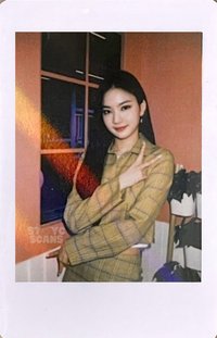 STAYDOM wd 2.0 特典卡 