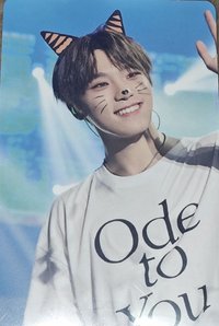 OTY演唱會 演唱會 DVD / CD 卡 貓燦