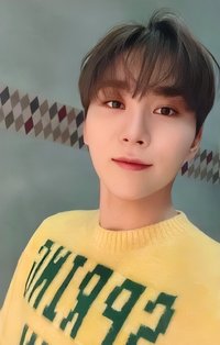 POL 專輯卡 CARAT ver. 