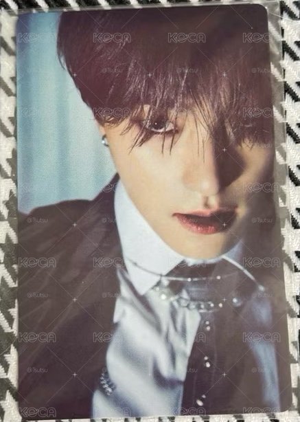 seventeen 日本 小卡 wvsjp 特典卡 attacca 迷九 狼燦 李燦 dino