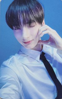 迷七 wvs 單封版 特典卡 studio choom sc