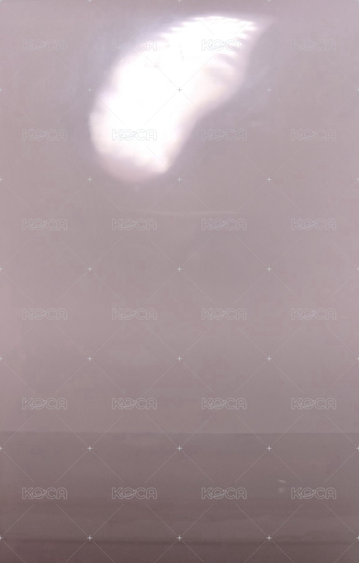 雜誌卡 雜誌拍立得竣 背面