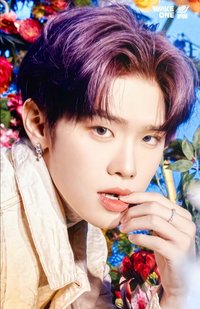 日專 塔店 特典卡 官拍