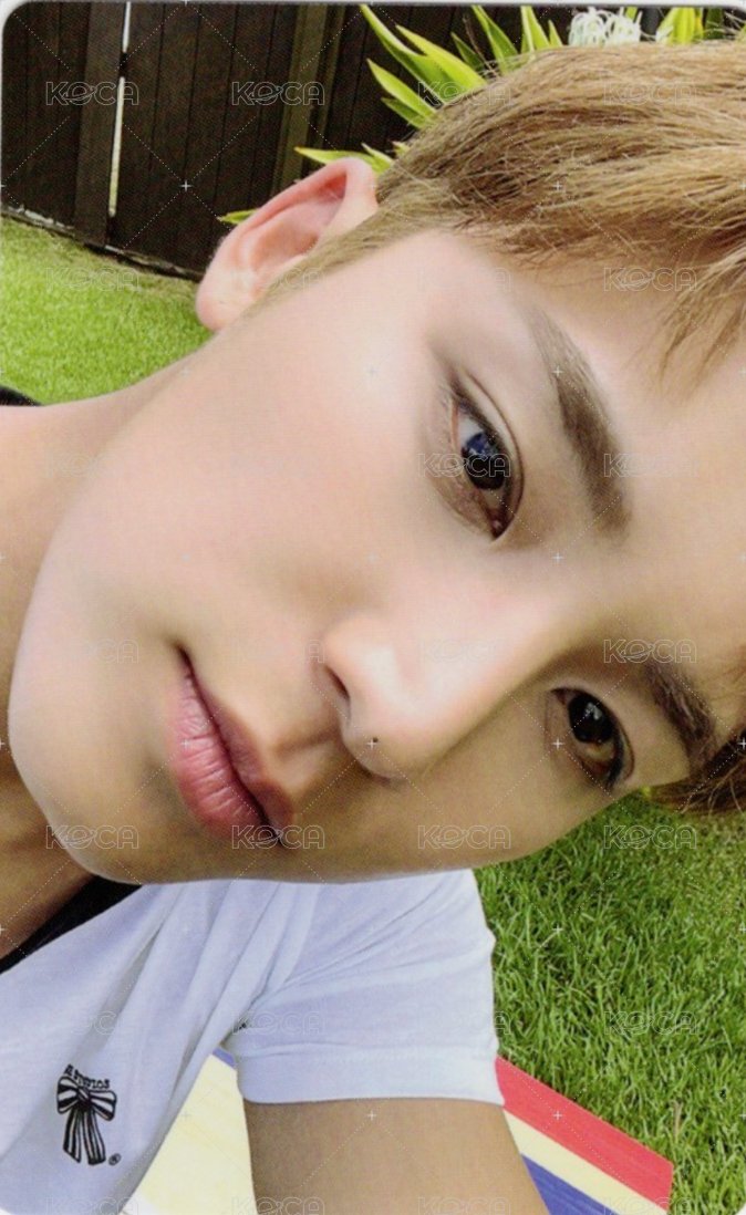 HYPE VIBES wvs PB ver預售 特典卡  正面