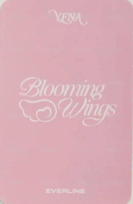 迷四 el 線下1.0 簽售卡 公主 背面