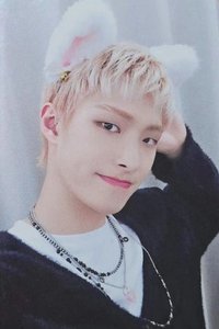 Outlaw ms 3.0 特典卡 白貓 ver.