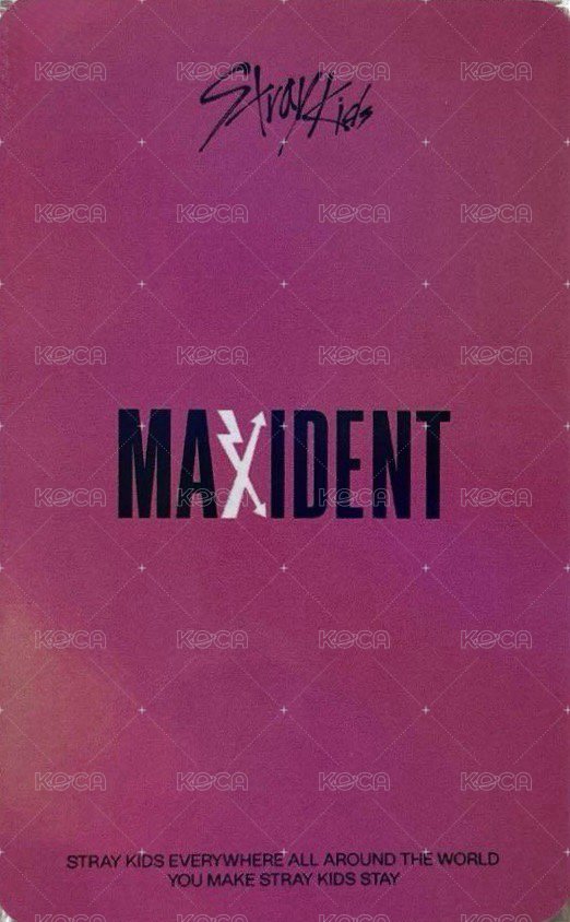 MAXIDENT kms 特典卡  背面