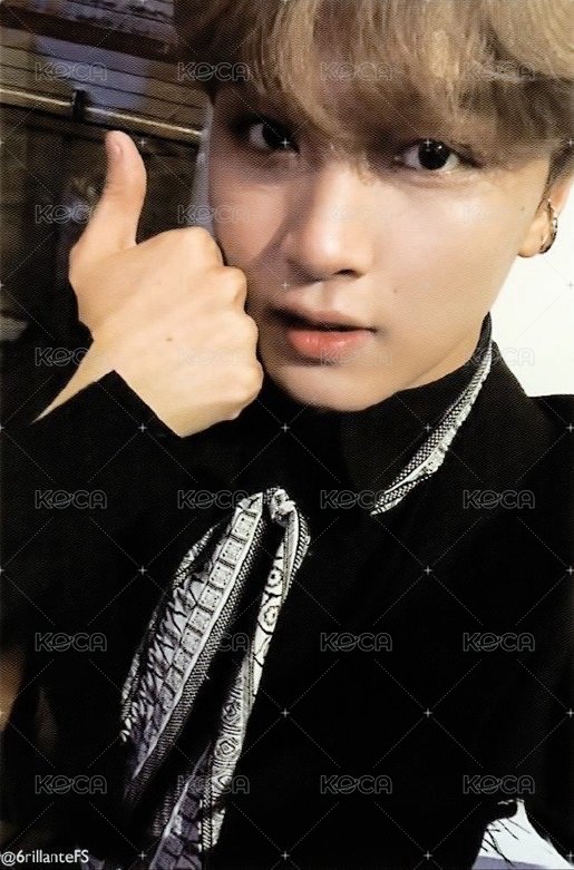 Regular-Irregular 專輯卡 regular 正面