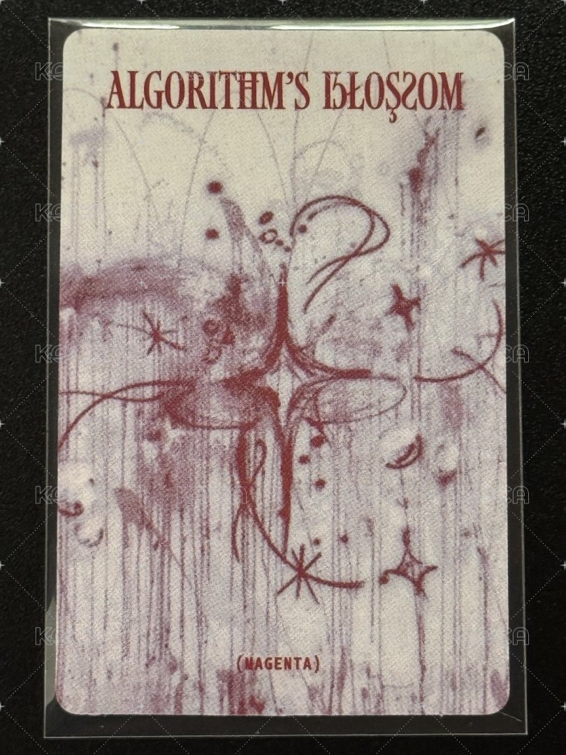 迷二 專輯卡 blossom ver. B 背面