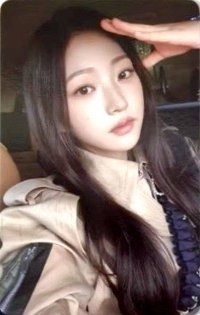 單一 wvs 特典卡 