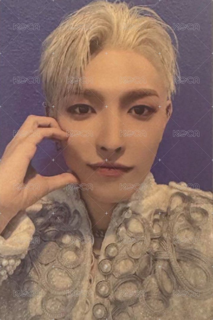 TOWARDS THE LIGHT : WILL TO POWER 演唱會 DVD / CD 卡 Playcode 固配 正面